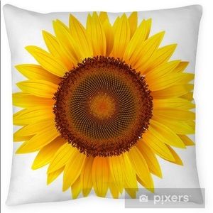 Meet your Posher, Kristy